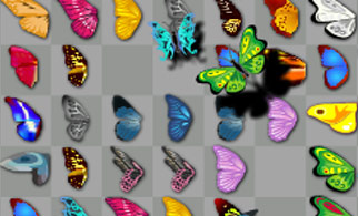 Butterfly Kyodai