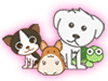 World Animal Day